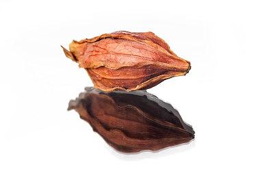 CDPR喊话《巫师3》Mod作者：快弄些最奇怪大胆的Mod出来